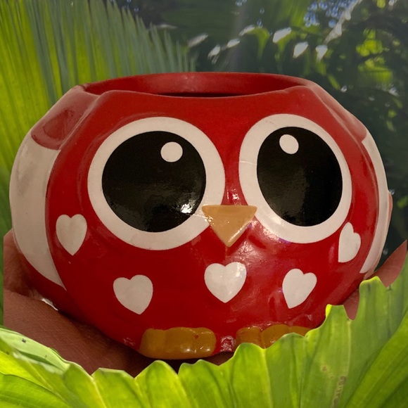 Valentine’s Day Ceramic Owl Plant Pot, Small Owl Pot, Red Owl, Owl Decor, Heart. - Picture 4 of 16